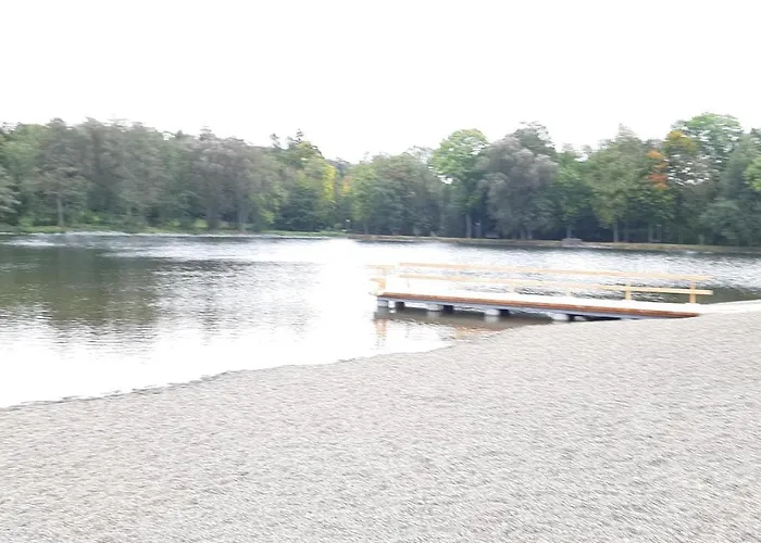 Am Bayern Frankenwaldsee