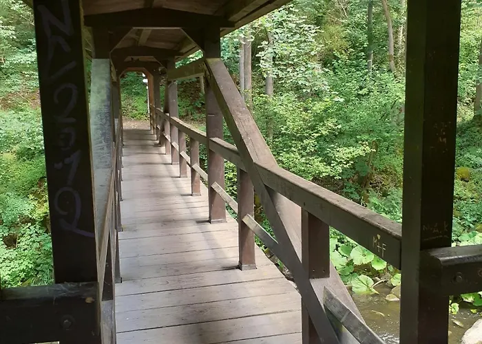 Am Bayern Frankenwaldsee *